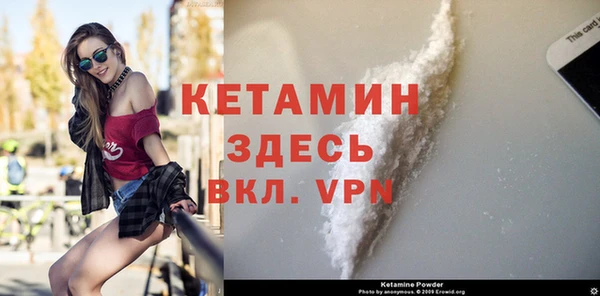 стаф Аркадак
