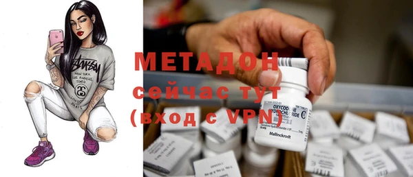 стаф Аркадак