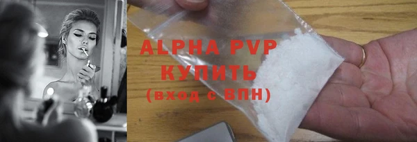 стаф Аркадак