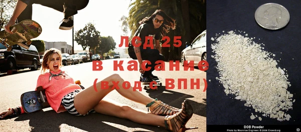 стаф Аркадак