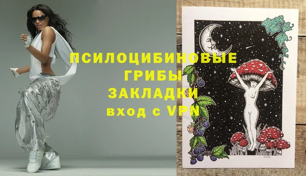 стаф Аркадак