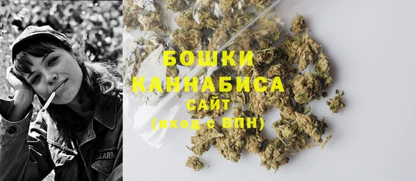 стаф Аркадак