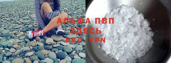стаф Аркадак