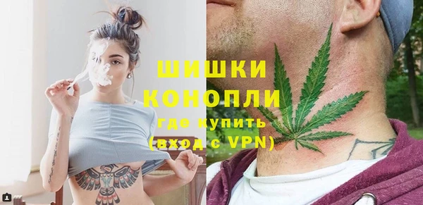 стаф Аркадак