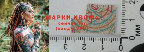 стаф Аркадак