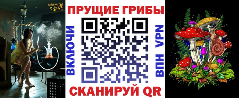 сайты даркнета какой сайт  Пучеж  Галлюциногенные грибы Psilocybe  наркотики 